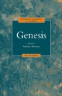Image for A Feminist Companion to Genesis