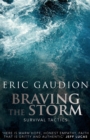 Image for Braving the Storm
