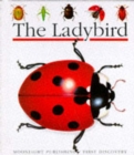 Image for The ladybird