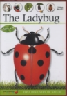 Image for The Ladybug