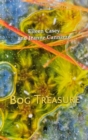 Image for Bog Treasure