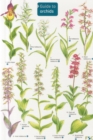 Image for Guide to Orchids