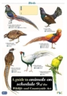 Image for A Guide to Animals on Schedule 9 of the Wildlife and Countryside Act