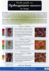 Image for Field Guide to Sphagnum Mosses in Bogs