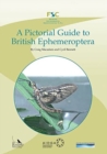 Image for A Pictorial Guide to British Ephemeroptera