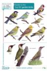 Image for Guide to the &#39;top 50&#39; garden birds