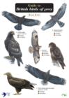 Image for Guide to British Birds of Prey