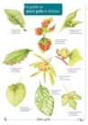 Image for Guide to Plant Galls in Britain