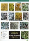 Image for Guide to common urban lichens1,: (On trees and wood) : Pt. 1 : On Trees and Wood