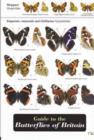 Image for Guide to the Butterflies of Britain
