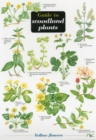 Image for Guide to Woodland Plants