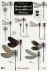 Image for Guide to the Dragonflies and Damselflies of Britain
