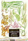 Image for Guide to the Saltmarsh Plants of Britain