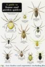 Image for A Guide to House and Garden Spiders