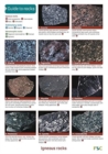 Image for A Guide to Common Rocks : Occasional Publication 78