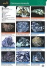 Image for Guide to Common Minerals