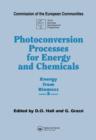 Image for Photoconversion Processes for Energy and Chemicals