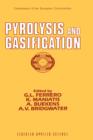 Image for Pyrolysis and Gasification
