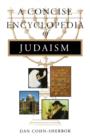 Image for A concise encyclopedia of Judaism
