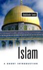 Image for Islam  : a short introduction
