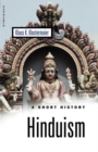 Image for Hinduism  : a short history