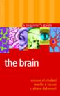 Image for The brain  : a beginner&#39;s guide