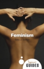 Image for Feminism  : a beginner&#39;s guide