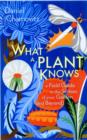 Image for What a plant knows  : a field guide to the senses of your garden - and beyond