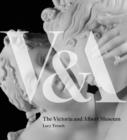 Image for V&amp;A  : the Victoria and Albert Museum