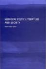 Image for Medieval Celtic literature and society