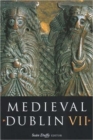Image for Medieval Dublin VII