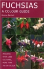 Image for Fuchsias  : a colour guide