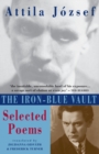 Image for The Iron-Blue Vault