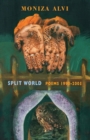 Image for Split world  : poems, 1990-2005