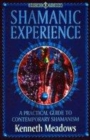 Image for Shamanic experience  : a practical guide to shamanism for the new millennium