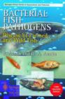 Image for Bacterial fish pathogens  : disease of farmed and wild fish