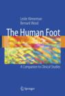 Image for The human foot  : a companion to clinical studies