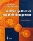 Image for Common eye diseases and their management