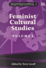 Image for Feminist cultural studies