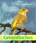 Image for Greenfinches