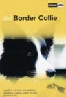 Image for The border collie  : a guide to selection, care, nutrition, upbringing, training, health, breeding, sports and play