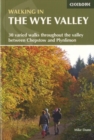Image for Walking in the Wye Valley  : 30 walks