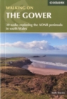 Image for Walking on Gower