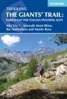 Image for Trekking the Giants&#39; Trail  : Alta Via 1 through the Italian Pennine Alps