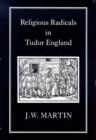 Image for Religious Radicals in Tudor England