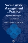 Image for Social work management and practice  : systems principles