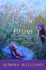 Image for Like color to the blind  : soul searching and soul finding
