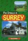 Image for Pub Strolls in Surrey