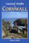Image for Coastal Walks in Cornwall