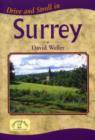 Image for Drive and Stroll in Surrey